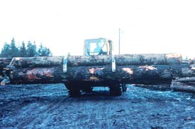 Logs are in a stable, secure position Logs are in a stable, secure position