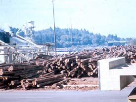 Secure, stable log piles in storage yard Secure, stable log piles in storage yard