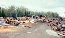 Log yard - small sawmill Log yard - small sawmill