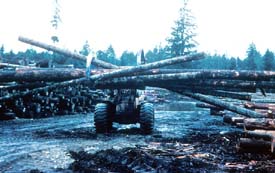 Unsafe handling of logs Unsafe handling of logs